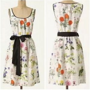 Anthropologie silk botanical dress, 4